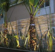 Load image into Gallery viewer, MSRonic 5W Spotlights LED Landscape Lights 12V 24V Waterproof Garden Path Warm 8 Pack
